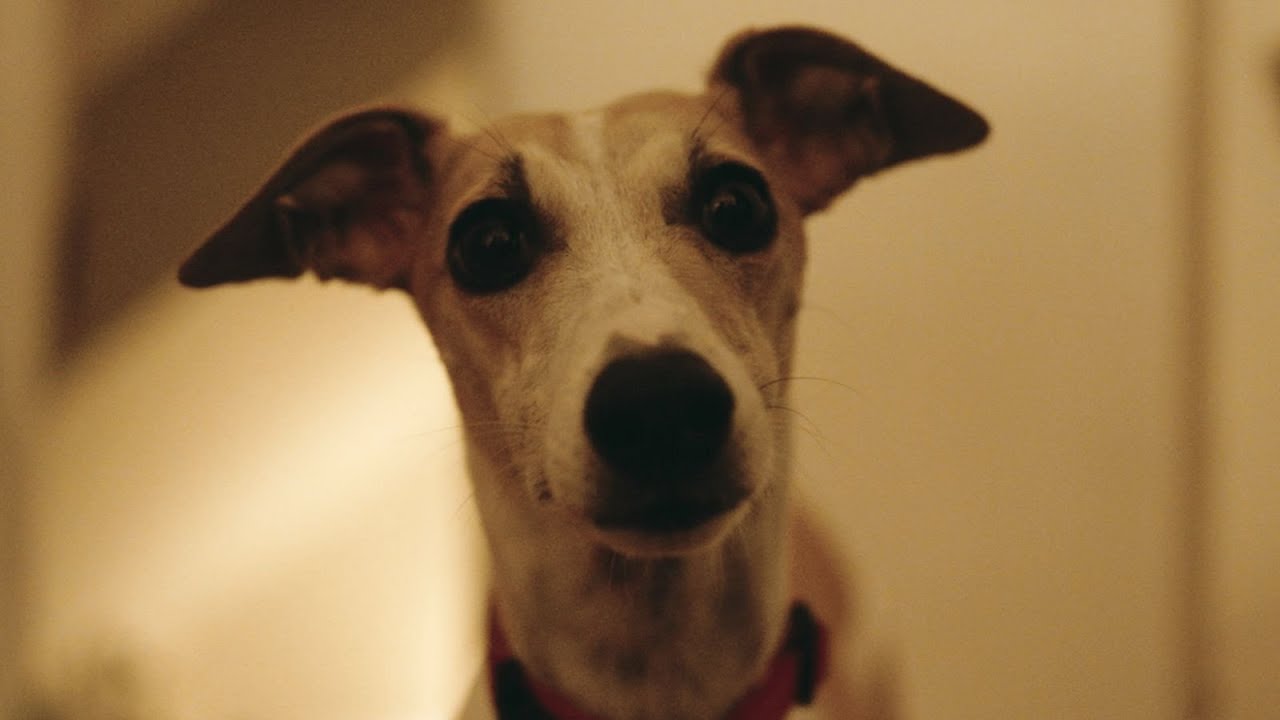 The Heirloom | Exclusive Trailer